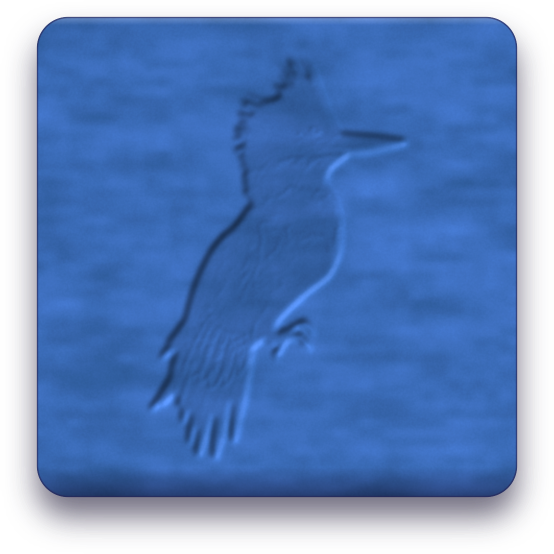 Kingfisher